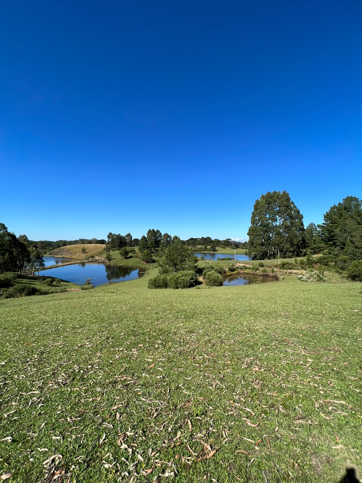 Açudes e campo do Ninho da Coruja em Canela/RS